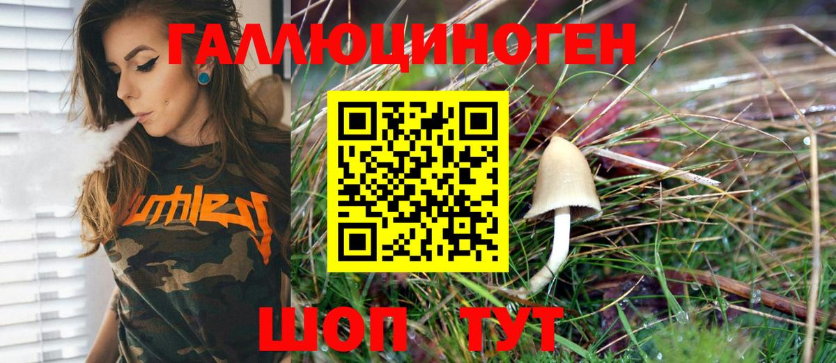 Галлюциногенные грибы GOLDEN TEACHER Миллерово