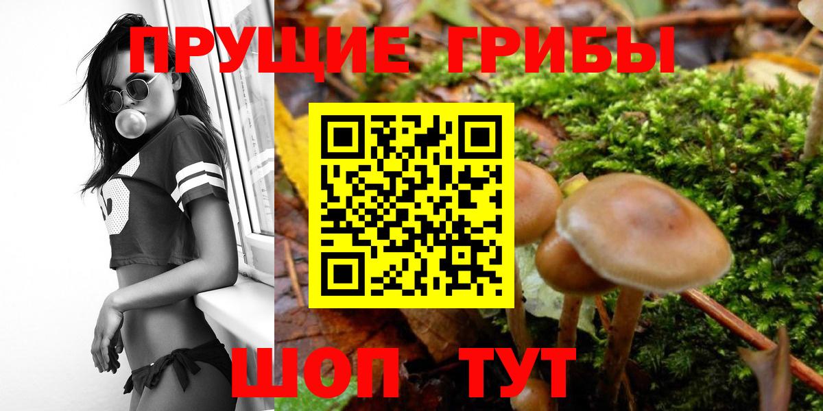 МЕФ   Миллерово  Вход с VPN  ГАШИШ  МАРИХУАНА  COCAIN 