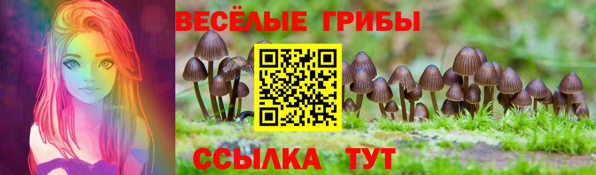 Галлюциногенные грибы MAGIC MUSHROOMS  Псилоцибиновые грибы MAGIC MUSHROOMS  Миллерово  Вход с VPN 